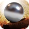 Gravity Drop Skill Ball Pro - Action Packed Game