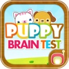 펫 뇌구조 테스트 Full Version - PUPPY Brain Test