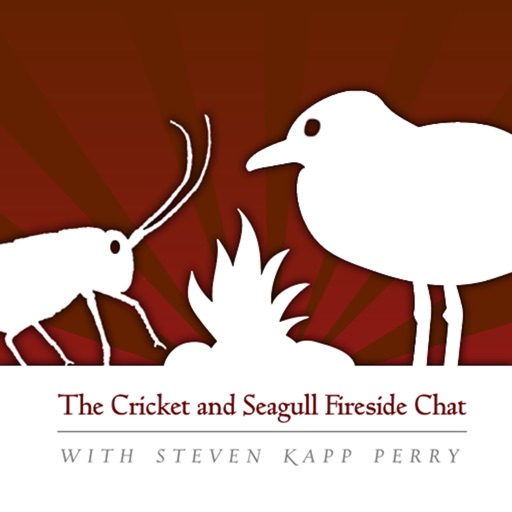 The Cricket and Seagull Fireside Chat