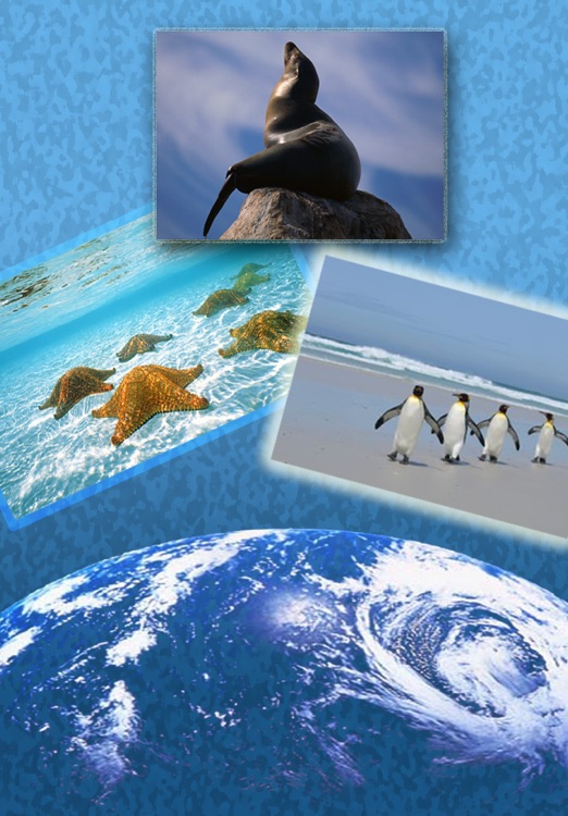 ATLAS: Sea Animals of PLANET Earth