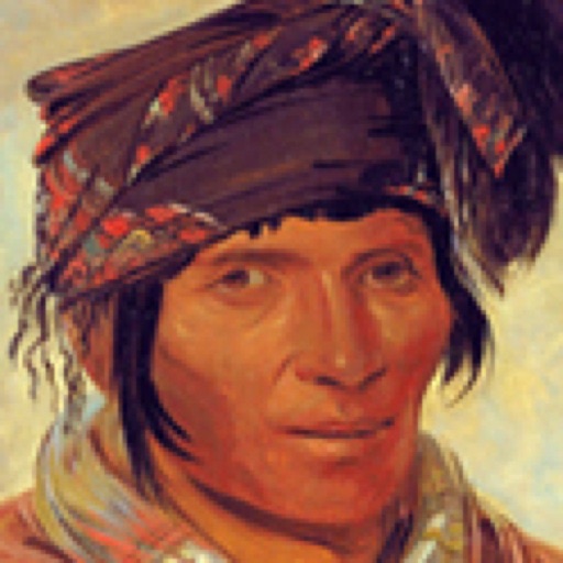 Seminole icon