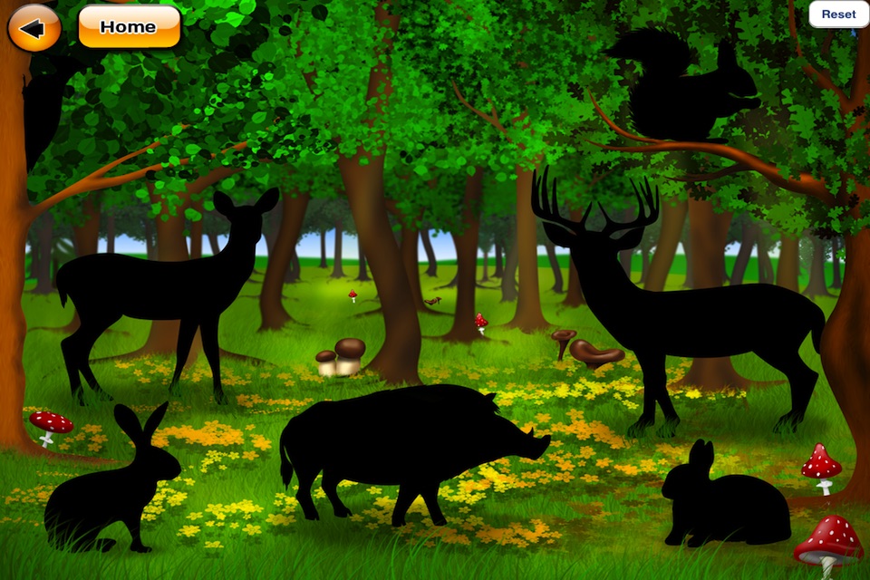 De dieren leren screenshot 2