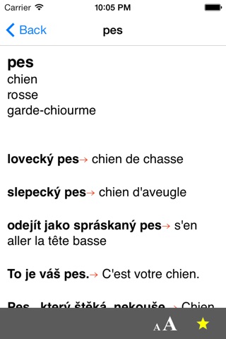 Czech-French dictionary screenshot 3
