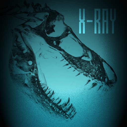 X-Ray the World! Icon