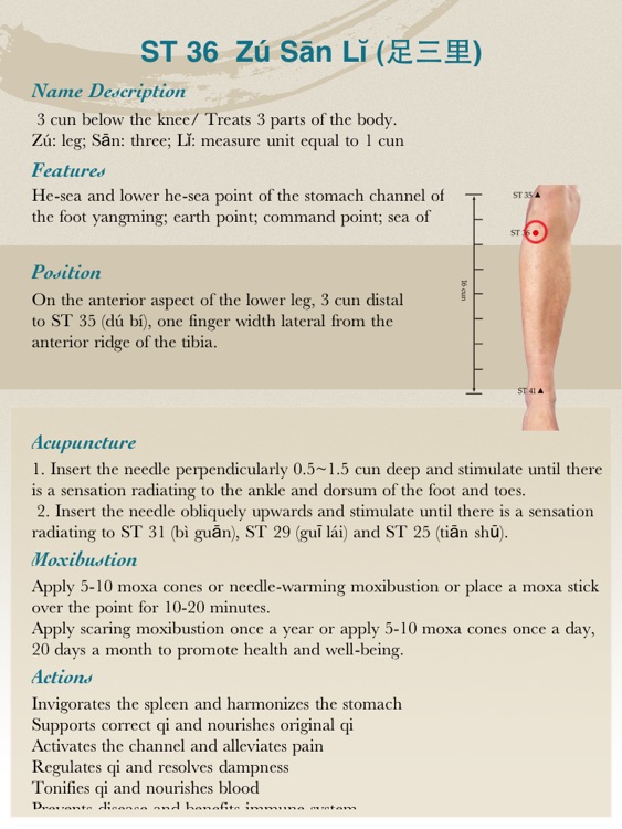 Anatomical Illustration of Acupuncture Points
