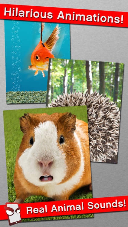 AngryPet Free - The Angry Pet Animal Simulator
