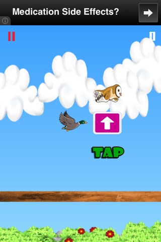 Duck Life - Flap  Wings to Fly Free Game screenshot 2