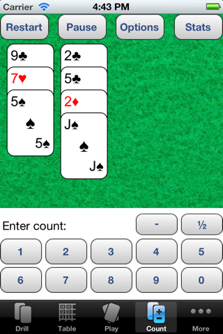 Blackjack Expert screenshot 2