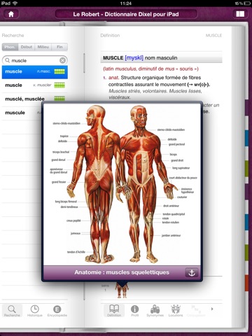 Dictionnaire Le Robert pour iPad screenshot 2