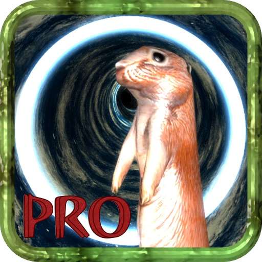 Down the Gopher Hole Pro HD icon