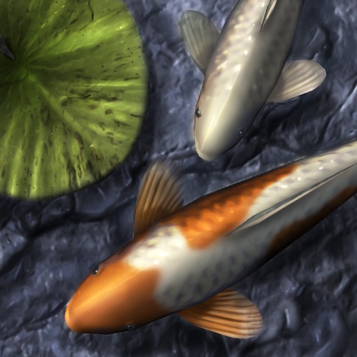 Koi Pond HD Lite icon