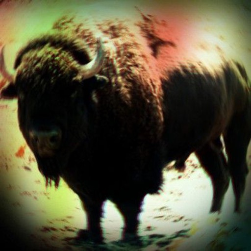 Buffalo - Sound Board, Ringtones and Alerts