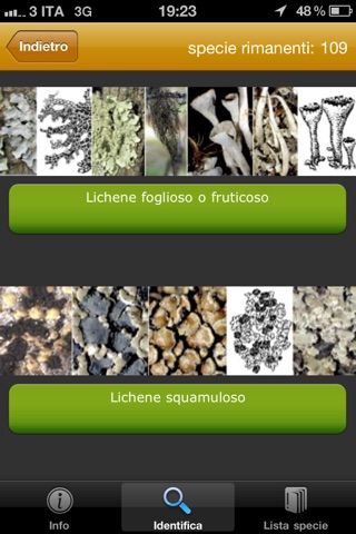 Alla scoperta dei licheni nel Parco Nazionale delle Foreste Casentinesi screenshot 2