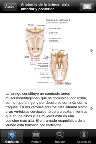 Miniatlas Ear, Nose & Throat screenshot 4