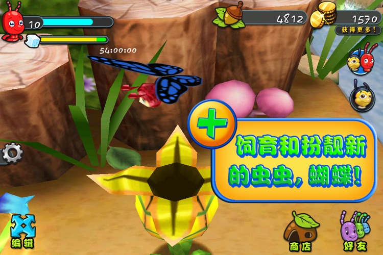 虫虫部落