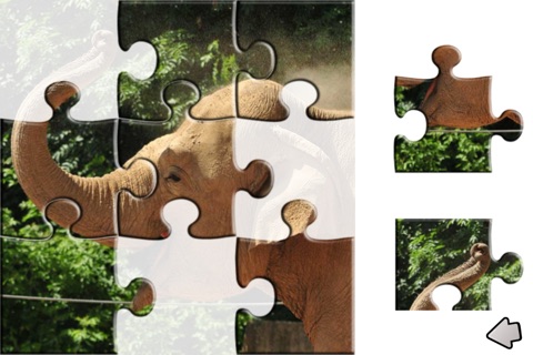 ZOO Puzzle screenshot 4