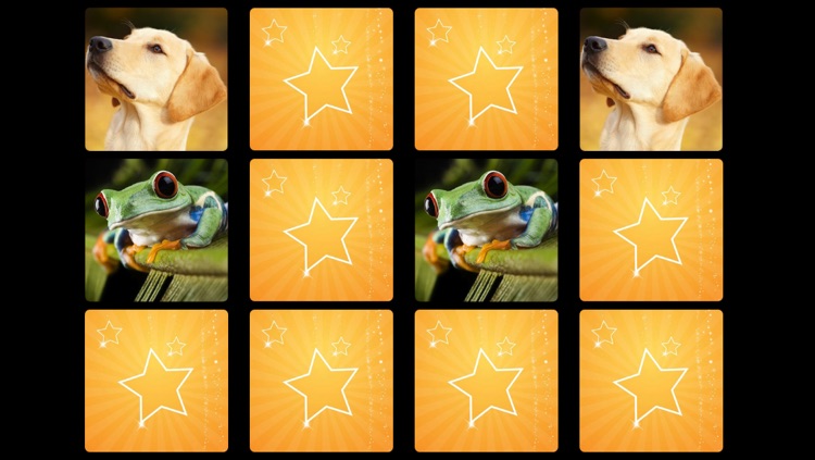 Let's Hear the Animals! (Animal Sounds) HD