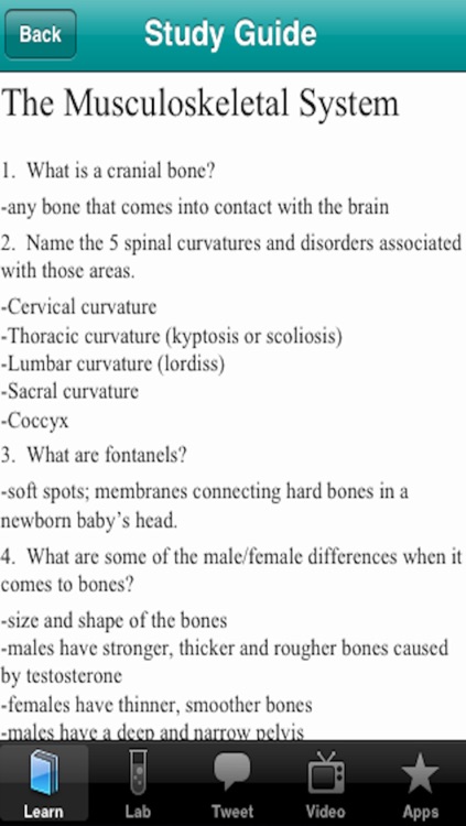 The Musculoskeletal System