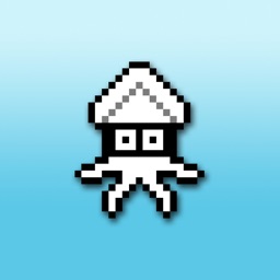 Crazy Squid