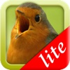 Vogelstimmen-Trainer Lite (Nature Lexicon)