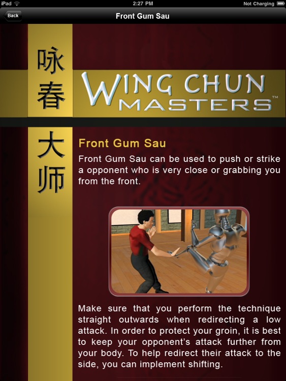 Wing Chun Masters - iPad Version