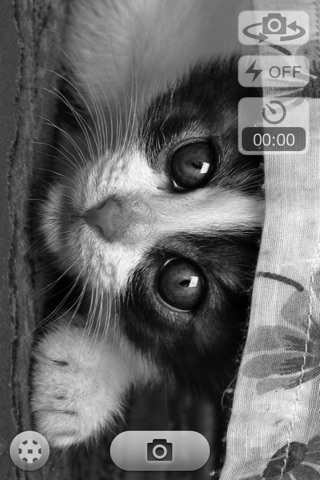 Black and White Camera & Video Free screenshot 3