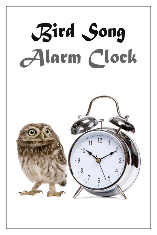Bird Song Alarm Clock