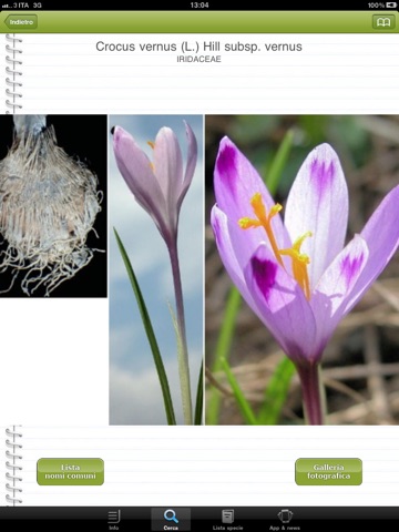 Cercapiante - Immagini, nomi scientifici, comuni e dialettali di piante ora anche per iPad screenshot 2