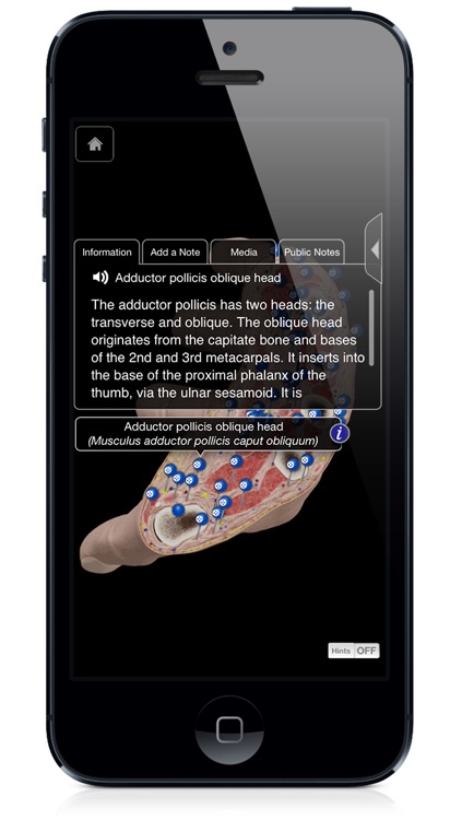 Hand & Wrist Pro III with Animations - iPhone Edition screenshot-3