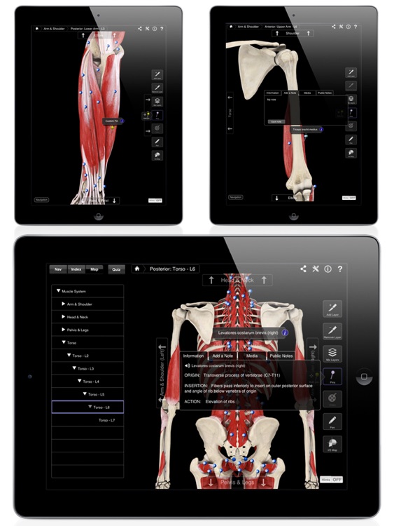 Muscle System Pro III screenshot-4
