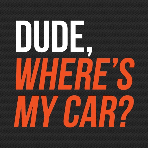 Dude Wheres My Car - Chicago Towed Car Finder icon