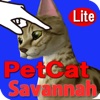 Savannah Petting cat 3D REAL Lite