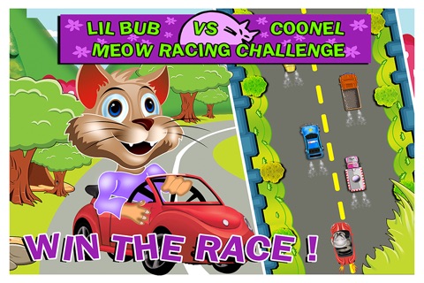 Lil Bub Vs Coonel Meow Mad Racing Car Challenge Free screenshot 3