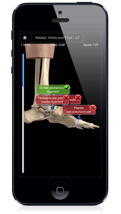 Ankle & Foot Pro III - iPhone Edition