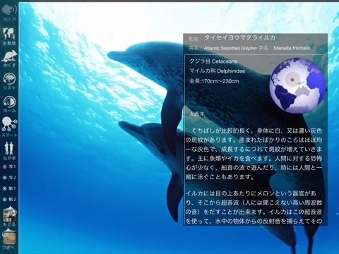 Animal Life Free for Japan screenshot 2