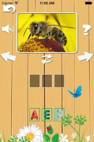 Spell Animal Name in Italian - Compitare Animale Nome in Italiano screenshot 2