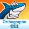 Orthographe CE2