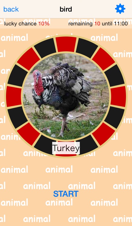 Are you lucky? Animal Spinner