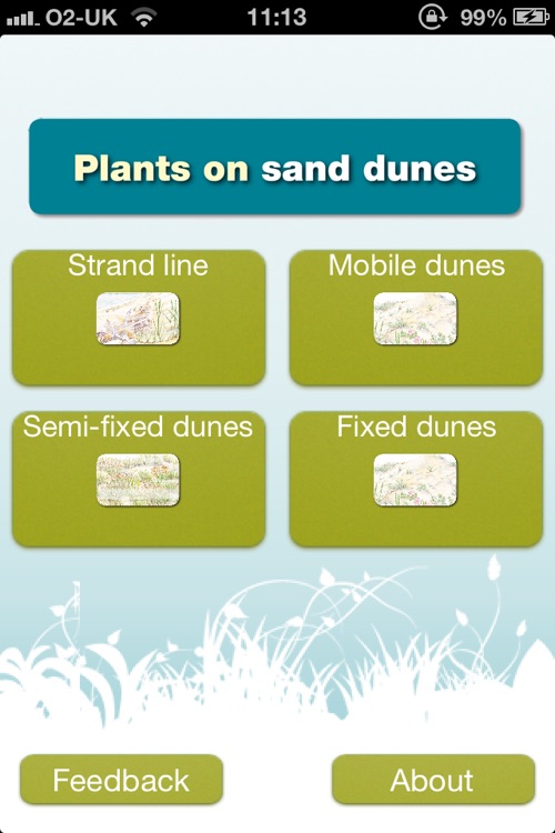 FSC Sand Dunes Guide