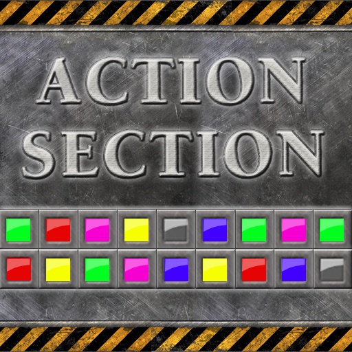 Action Section icon