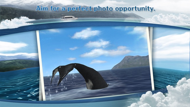 REAL WHALES  Find the cetacean.(圖3)-速報App