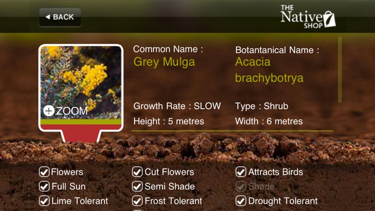 Native Plant Guide