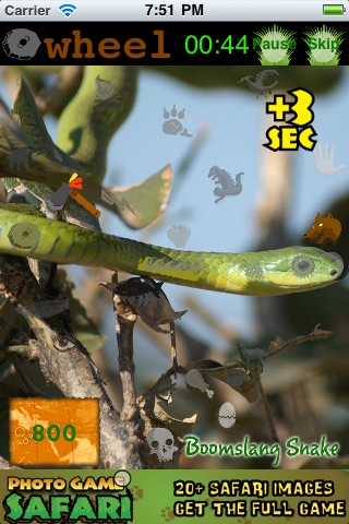 Photo Game Safari screenshot 3