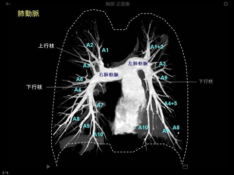 e画像解剖のおすすめ画像3