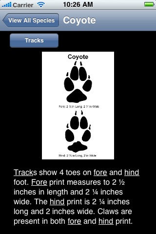 Mammal Tracks