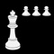 World Chess Champions supplies you with all the World Chess Champions throughout history in an easy to use, simple, intuitive manner