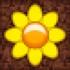 Pixel Seeds