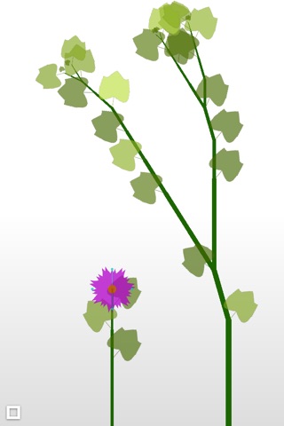 Flowerium. screenshot 2
