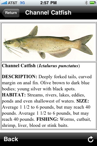 Freshwater Fish ID South
