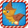 Cute Owl flappy rocket tiny bird - Tap flap flap and fly bird game